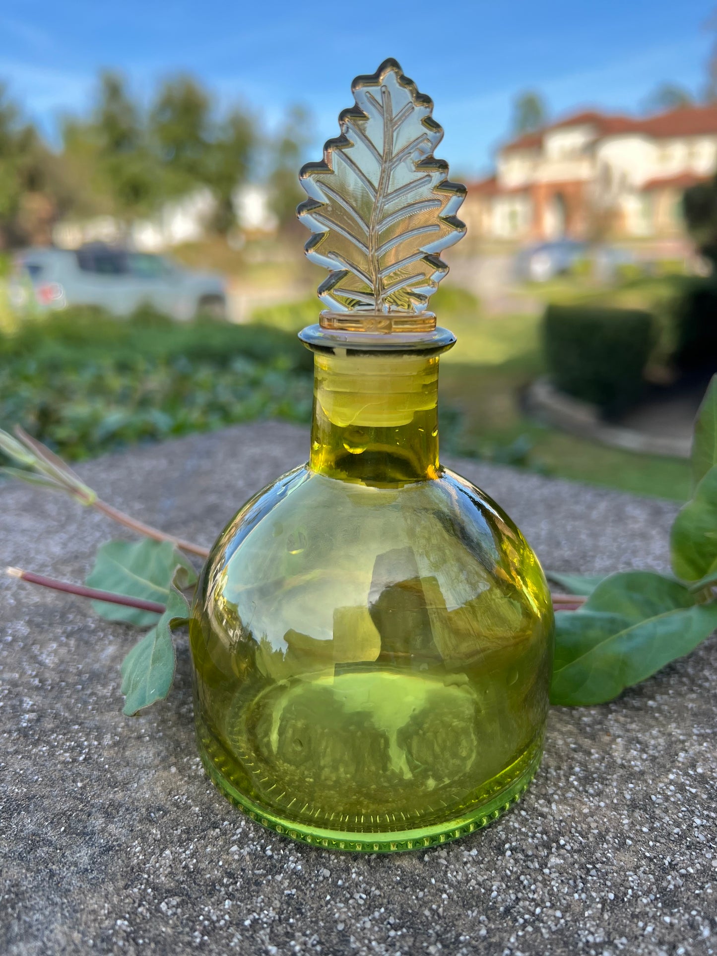 Carrie Empty Oil Bottle