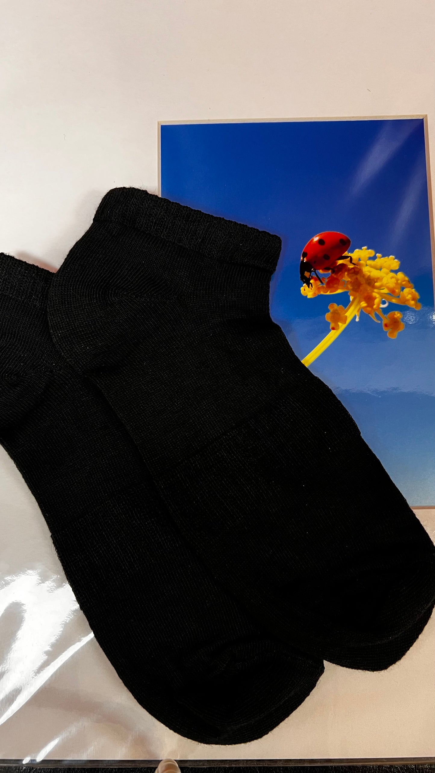 Allison Black Socks (Clearance)